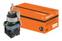 Переключатель BG45 черный 2 положения с ключом 1з+1р TDM TDM Electric