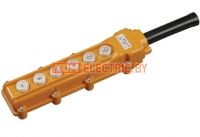 Пульты кнопочные серии ПКТ TDM ELECTRIC