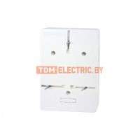 Панель для установки счетчика 1-но фазного (152х240х31) TDM  TDM Electric