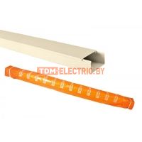 Кабель-канал 20х10 слоновая кость (100м) TDM  TDM Electric
